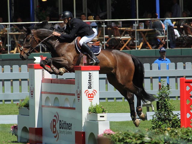 本场比赛中 本场比赛中