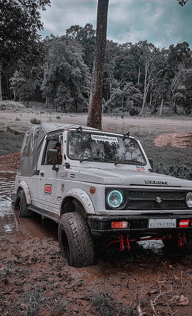 力同样不容 力同样不容